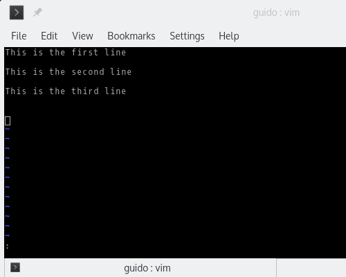 Demonstration of line completion in ViM